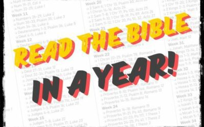Quit The Bible in a Year Reading Plan