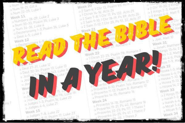 bible in a year plan