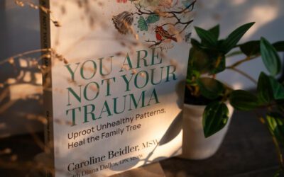 Caroline Beidler’s You Are Not Your Trauma Now on Sale!